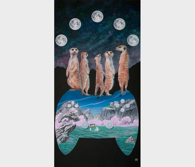 夜間觀察          Night observation